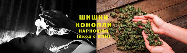 метадон Няндома