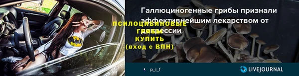 ПСИЛОЦИБИНОВЫЕ ГРИБЫ Абинск