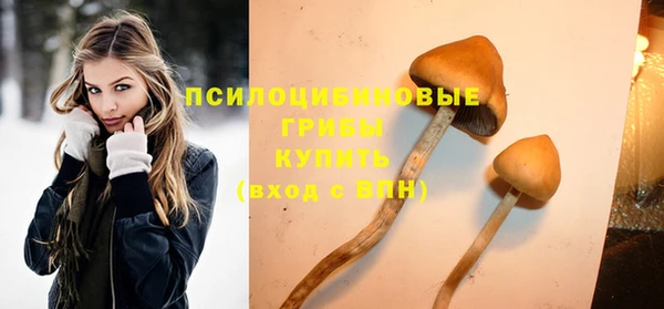 ПСИЛОЦИБИНОВЫЕ ГРИБЫ Абинск