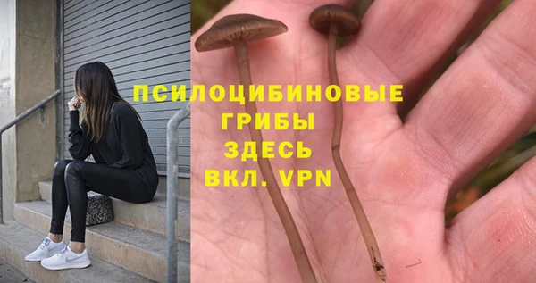 спиды Абаза